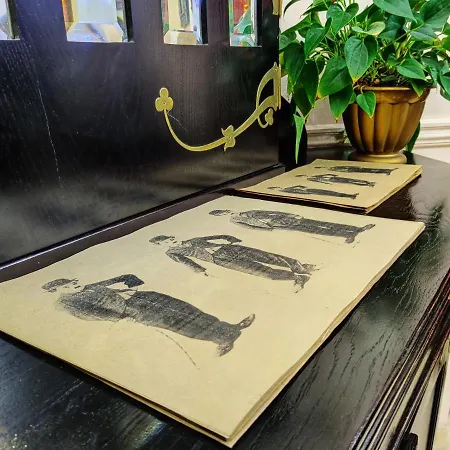 Chaplin Apartment Lviv